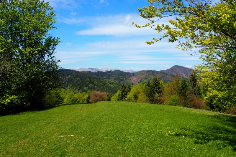 Land Shaping Service