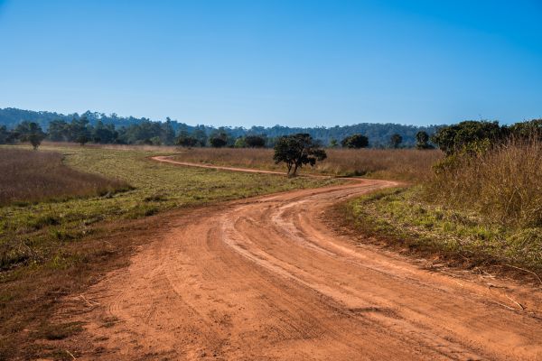 Dirt Driveway Repair in Golden