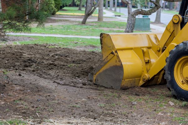 Backfilling Service in Golden