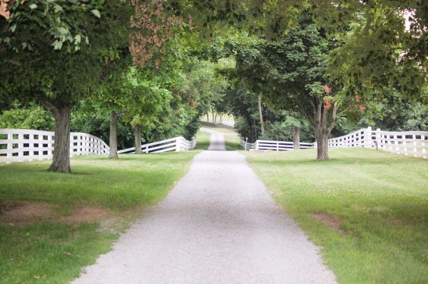 Gravel Driveway Construction in Golden