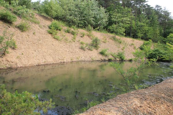Cost of Pond Erosion Repair in Golden