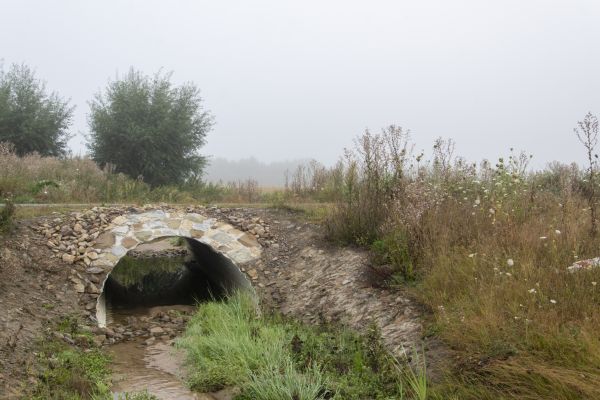 Culvert Excavation in Golden